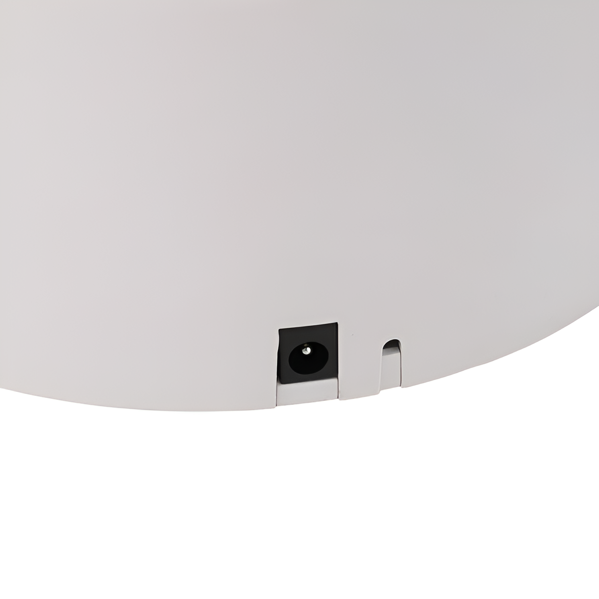 Smart Pet Feeder